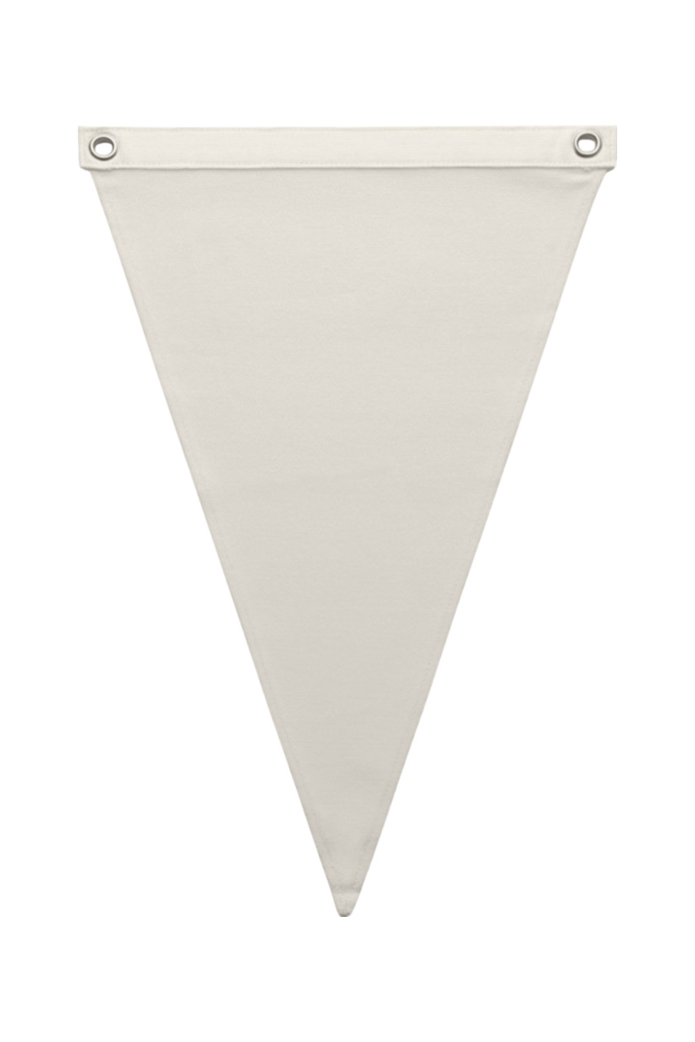 AS Colour Pennant Flag