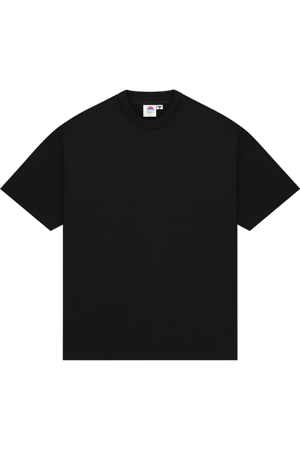 Colour Plane Heavyweight T-shirt in Black